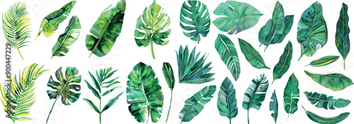 Painting of tropical plants, palm leaves, green leaves in hand-made watercolor, botanical art