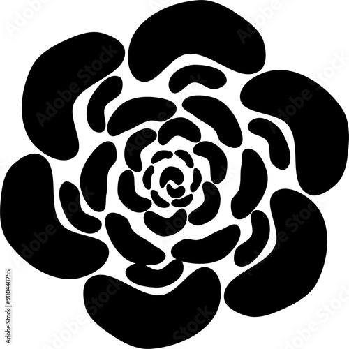a black and white flower