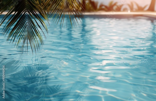 Palm Tree Over Pool Water