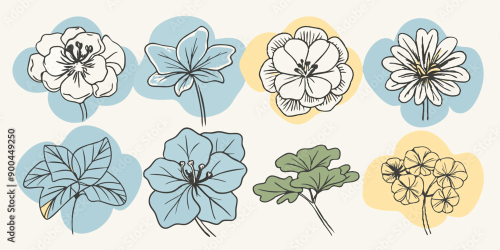 Stunning Geranium Flower on White Background: Perfect for Your Projects Stunning Geranium Flower on White Background: Perfect for Your Projects