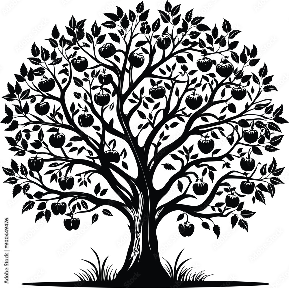 Obraz premium Black and white apple tree silhouette