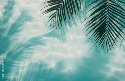 Palm Tree Over Pool Water