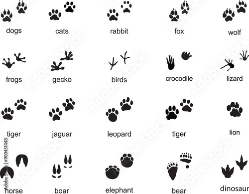 Set of  traces of wild animals, illustration of black silhouettes	