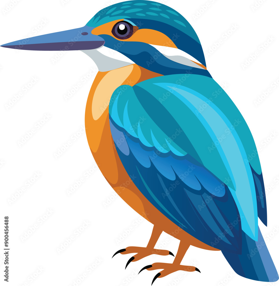 A vector illustration of A Cute kingfisher Bird A vector illustration of A Cute kingfisher Bird