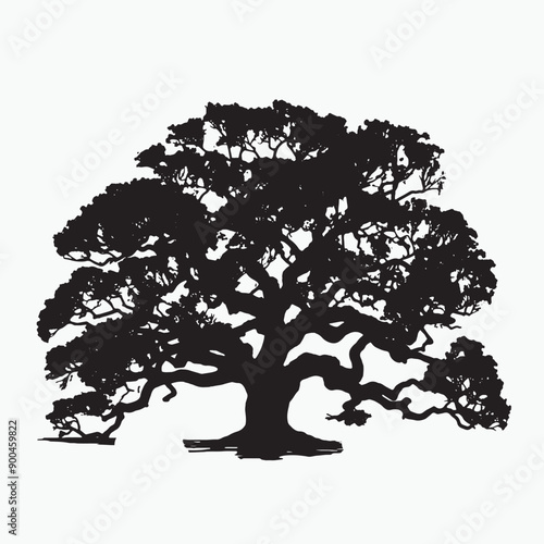 black silhouette of a angel oak isolated white background