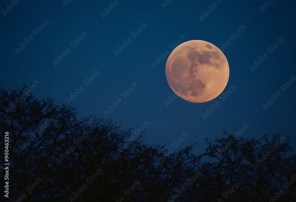 A full moon rises over a silhouette of trees, perfect for nature, astronomy, or romantic themed designs, websites, or social media posts. A full moon rises over a silhouette of trees, perfect for nature, astronomy, or romantic themed designs, websites, or social media posts.