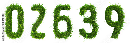 Grass Numbers On Isolated Background