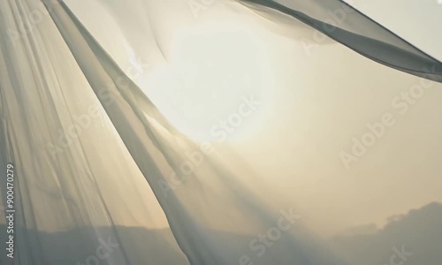 Sunlight Through Sheer Curtains