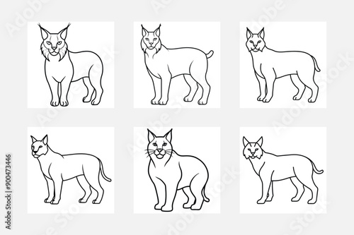 Lynx line art illustration set for kids coloring books
