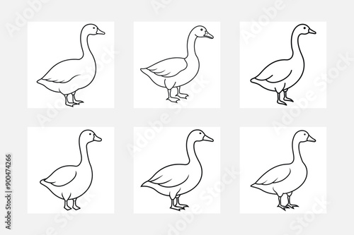 Goose line art illustration set designs
