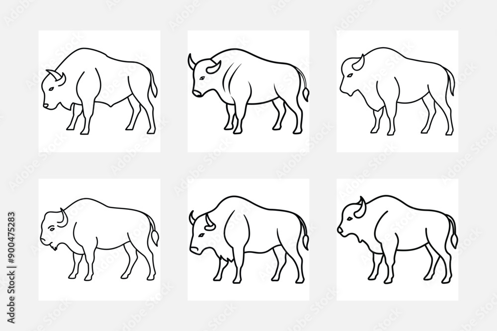 Obraz premium Bison Line Art Illustration Tips and Tricks