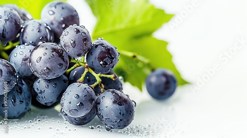 Wallpaper Mural A bunch of ripe juicy black grapes with water drops on white background. Torontodigital.ca