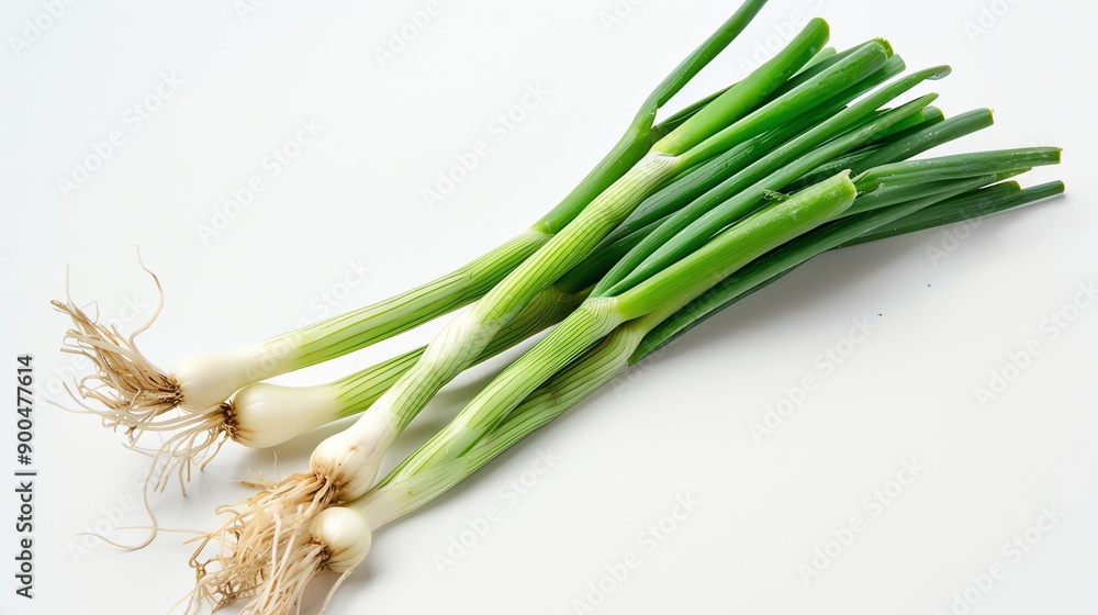 Fresh green spring onions isolated on white background. Bunch of organic young green onions with roots. Close up. Fresh green spring onions isolated on white background. Bunch of organic young green onions with roots. Close up.