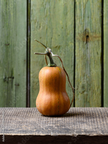 Honeynut Winter Squash photo