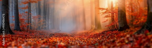 Autumn Forest Path With Fog