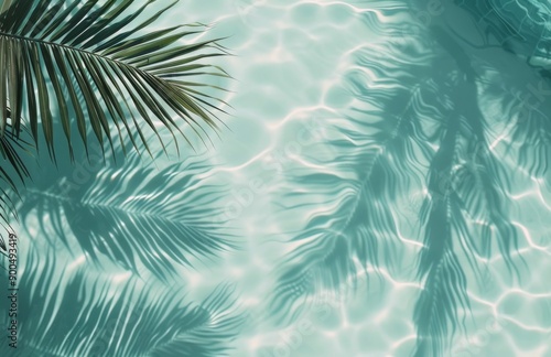 Palm Tree Shadow on Pool Water