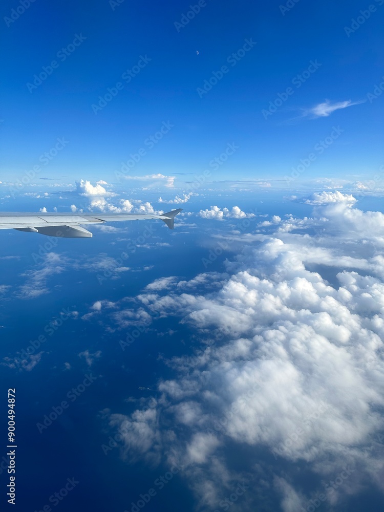 View from the plane View from the plane