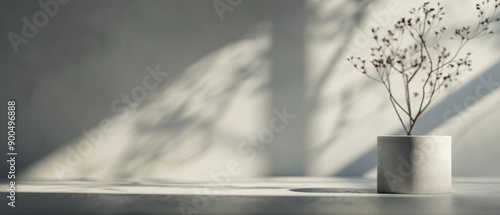 White Pots With Plants on a Shelf