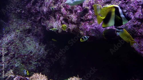 a very magical underwater land