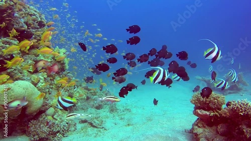 a very magical underwater land