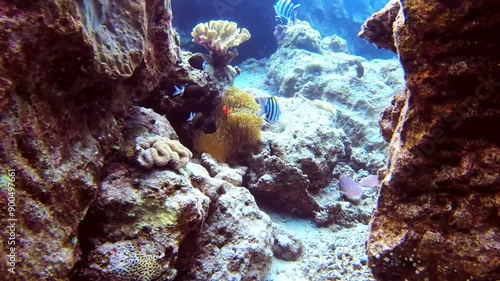 a very magical underwater land