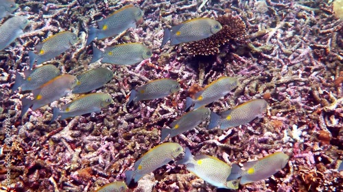 a very magical underwater land