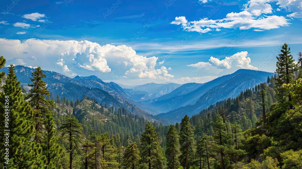 Fototapeta premium green woods in forest against mountain view with blue sky clouds in summer time.