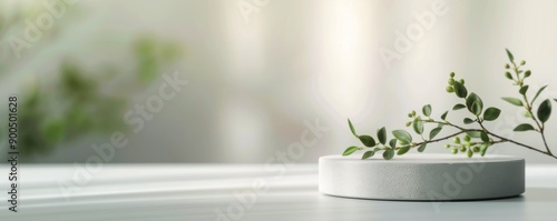 Plant in Pot With Light Shadows