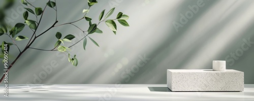 Plant in Pot With Light Shadows