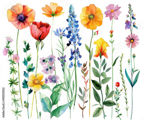 Wallpaper Mural watercolor wildflowers, herbs and plants, on white background. KI generative Torontodigital.ca