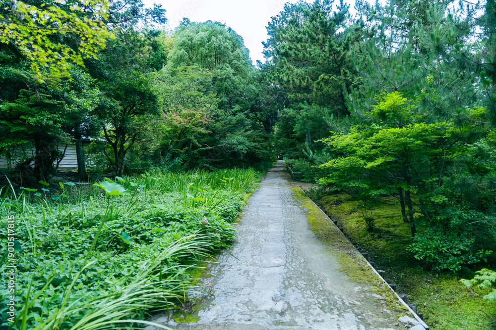 Obraz premium 唐招提寺の美しい庭園