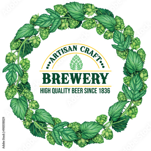 Watercolor hand drawn hops