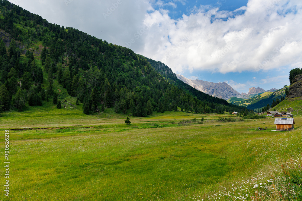 A view of Val Duron near Campitello di Fassa - Val di Fassa - Italy A view of Val Duron near Campitello di Fassa - Val di Fassa - Italy
