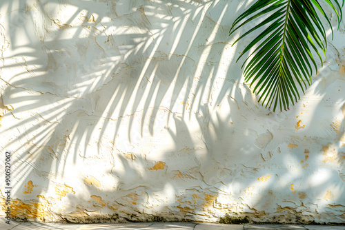 Feuilles de palmier avec ombres projetées sur un mur blanc photo