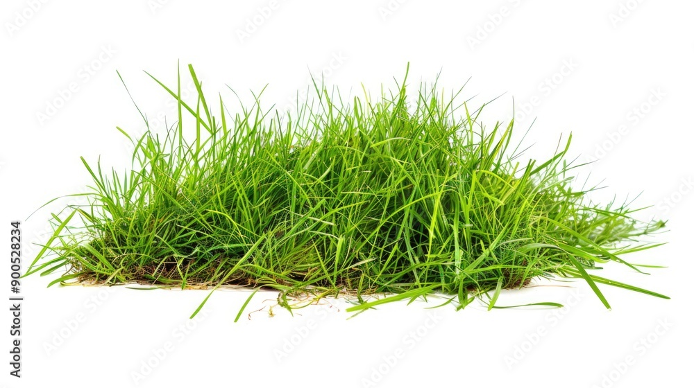 A pile of fresh green grass sits atop a white surface, perfect for decorative use or as a symbol of nature's beauty A pile of fresh green grass sits atop a white surface, perfect for decorative use or as a symbol of nature's beauty