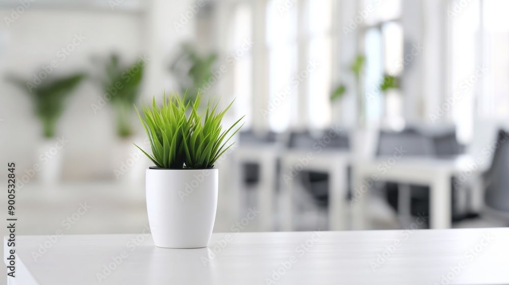 Minimalist Modern Office Interior with Green Plant in White Pot on Desk, Natural Light Design Elements, Contemporary Workspace Ideas for Bright and Fresh Atmosphere Minimalist Modern Office Interior with Green Plant in White Pot on Desk, Natural Light Design Elements, Contemporary Workspace Ideas for Bright and Fresh Atmosphere