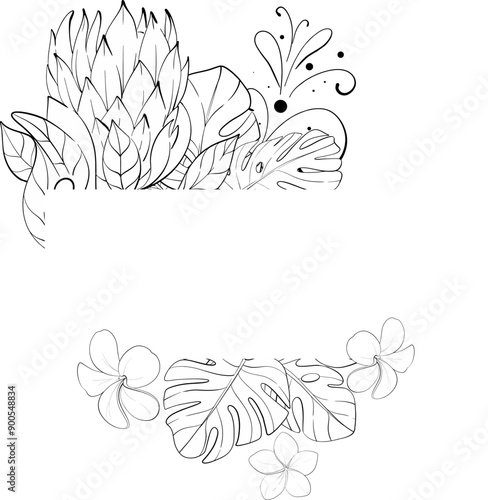 Vector tropical border frame - protea, monstera leaves, and plumerias flowers. Summer botanical graphic. Template, arrangements. Black circuit silhouette photo