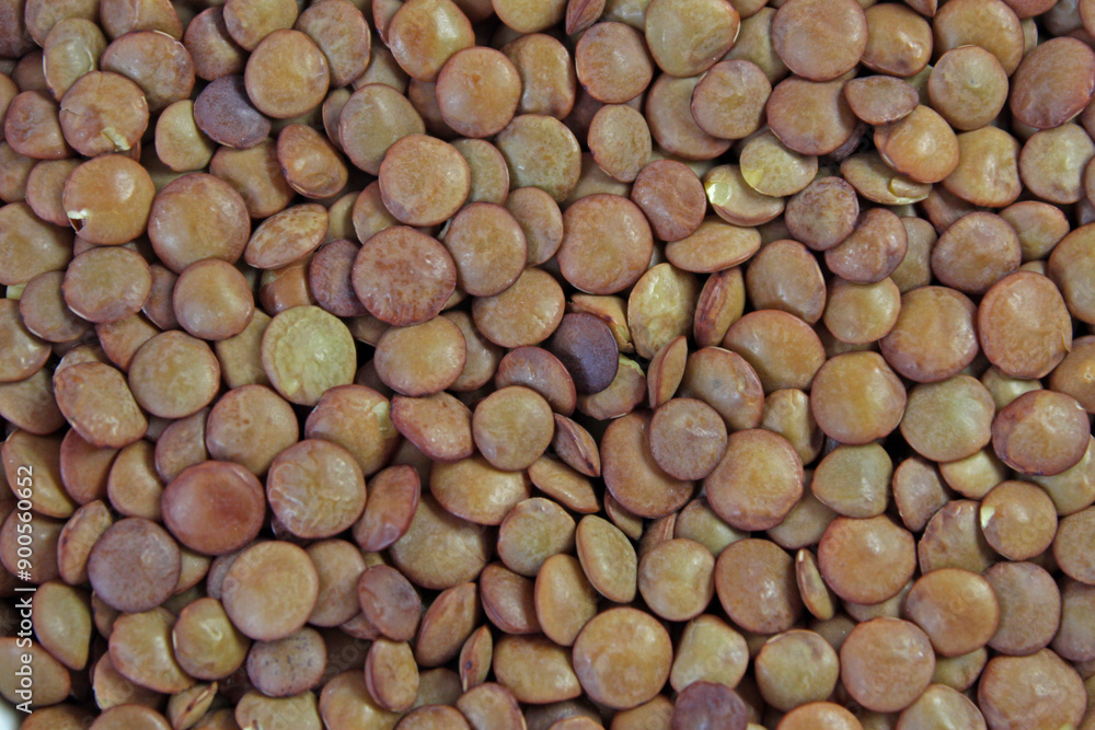 Brown lentils spread out, creating a textured background for food photography. Healthy, versatile, and popular in vegetarian and vegan diets, lentils are a staple ingredient in many cuisines Brown lentils spread out, creating a textured background for food photography. Healthy, versatile, and popular in vegetarian and vegan diets, lentils are a staple ingredient in many cuisines
