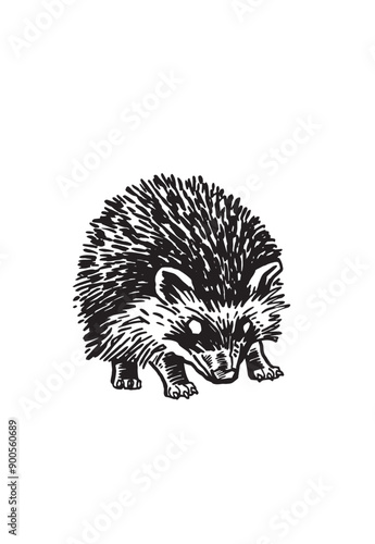 Graphical hedgehog isolated on white background,vector illustration, forest animal