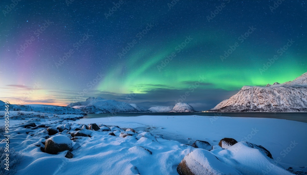 Naklejka premium widescreen northern lights view