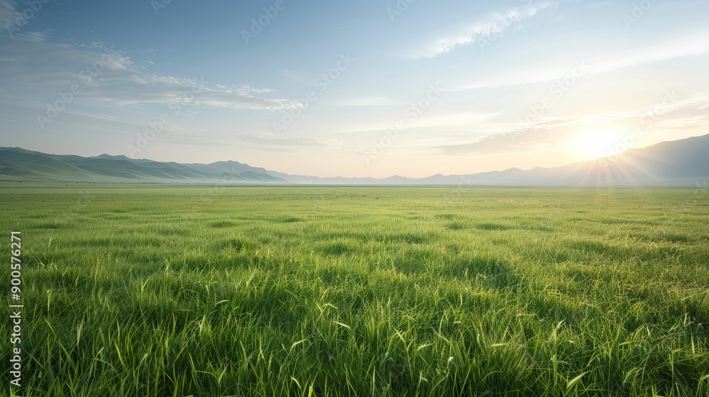 Obraz premium A serene landscape featuring lush green grass under a vibrant sky during sunrise, evoking peace and tranquility in nature.