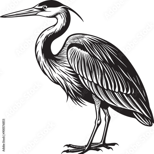 great blue heron common bird silhouette vector art illustration with a natural background