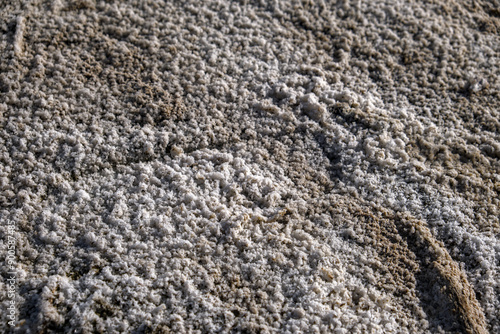 Salt crystals on a sand of shore of Salton sea