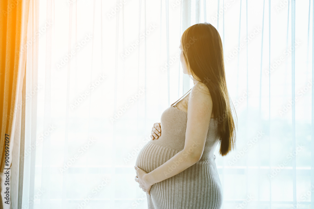 Back view Pregnant woman stroking her belly standing alone beside the window and see on something, Depression. Back view Pregnant woman stroking her belly standing alone beside the window and see on something, Depression.