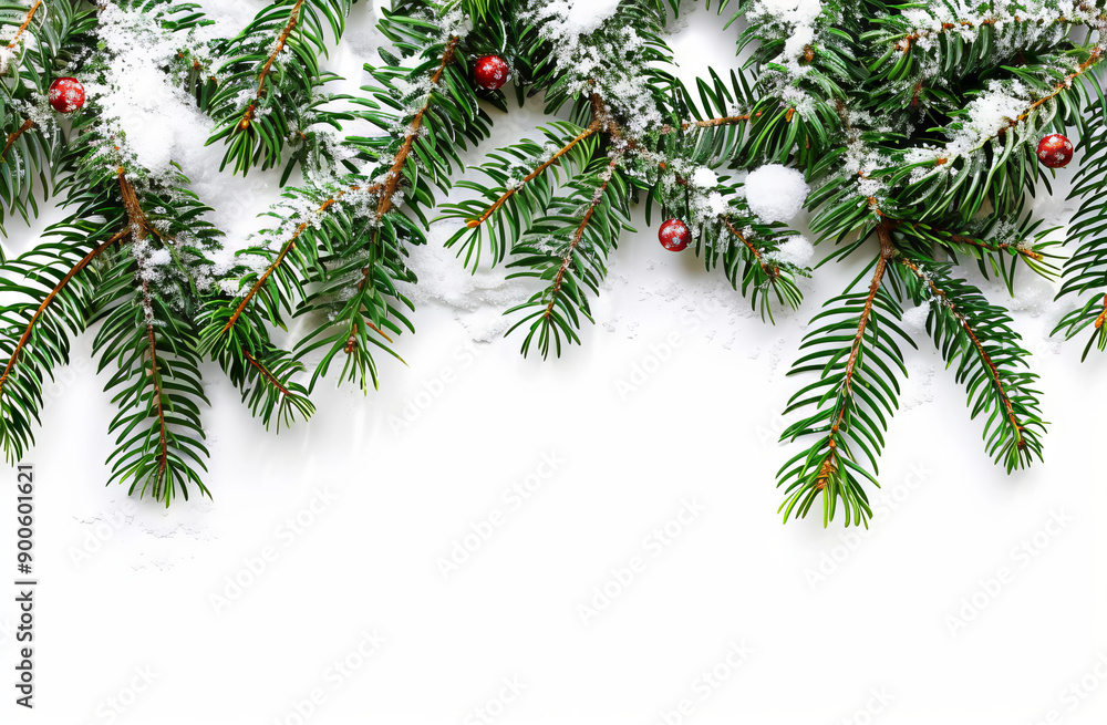 Close-up of snowy pine branches with red winter berries, creating a festive and wintry scene on a white background.
Close-up of snowy pine branches with red winter berries, creating a festive and wintry scene on a white background.