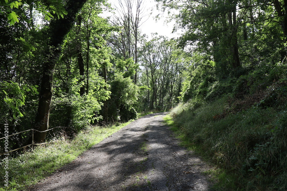 Voie d'accès forestière au fort de Guentrange, ville de Thionville, département de la Moselle, France Voie d'accès forestière au fort de Guentrange, ville de Thionville, département de la Moselle, France
