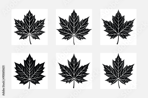 set of maple leaves