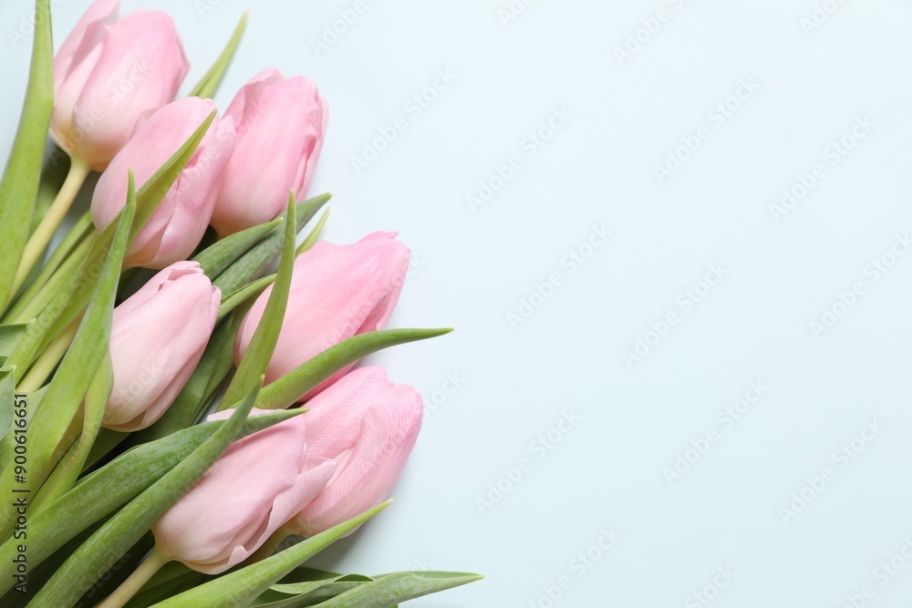 Beautiful fresh tulips on color background Beautiful fresh tulips on color background