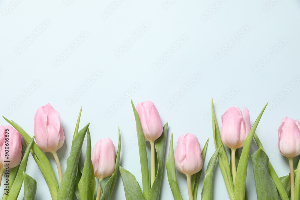 Fototapeta premium Beautiful fresh tulips on color background