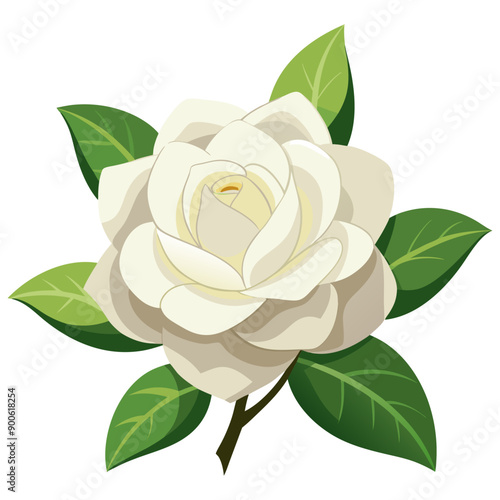 A creamy white gardenia with delicate petals and dark green leaves, displayed against a white background.